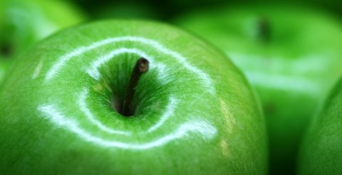 The Impact of the COVID-19 on the Fresh Produce Industry