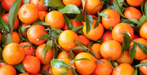 Building Foodware 365 for Business Central SaaS