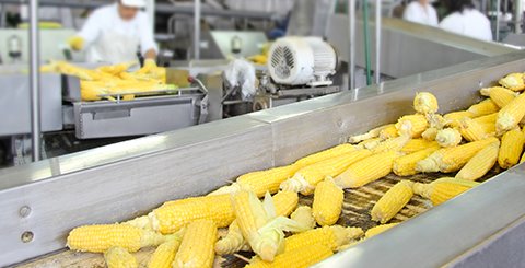 Recycling: wat kunt u als voedingsmiddelenbedrijf doen?