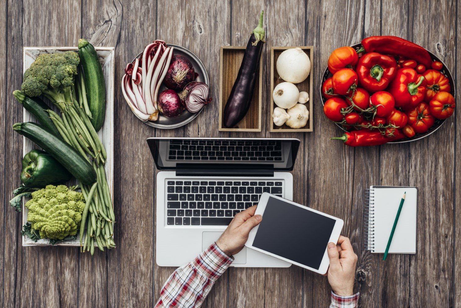 7 Reasons Why You Want to Work With ERP