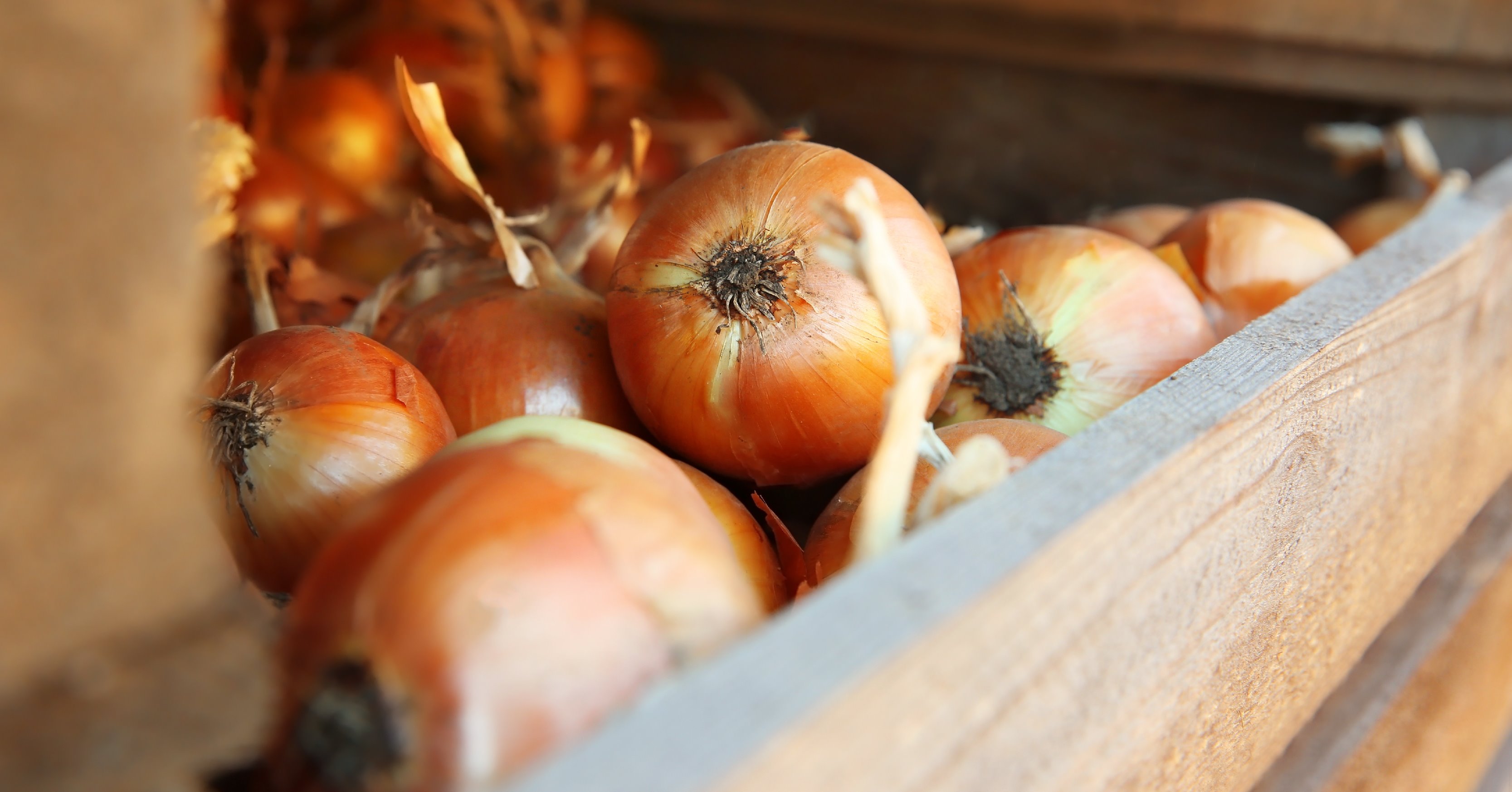 Covid-19: Managing Risks in the Supply Chain