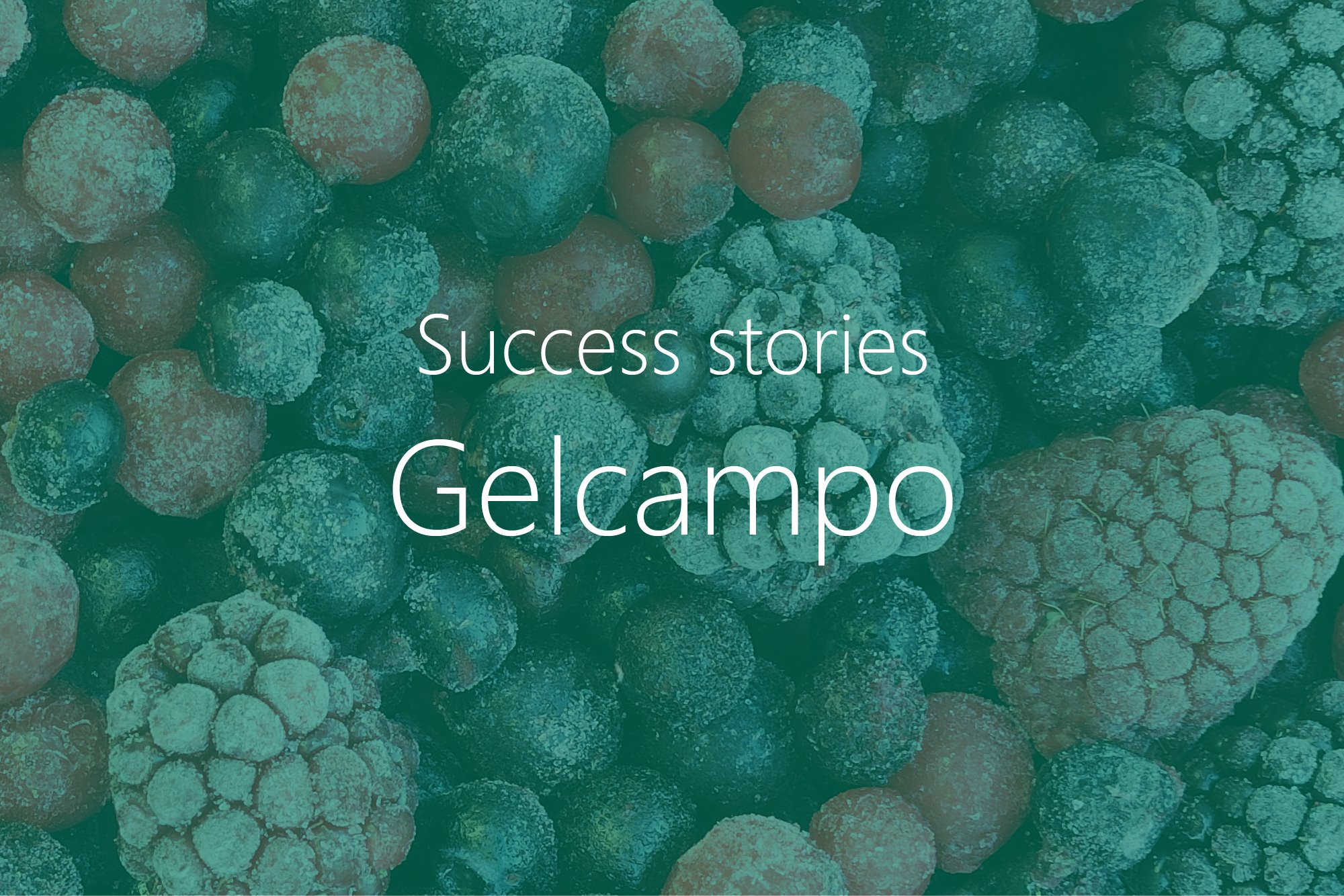 Gelcampo: Integrating Two Business Systems Into One 