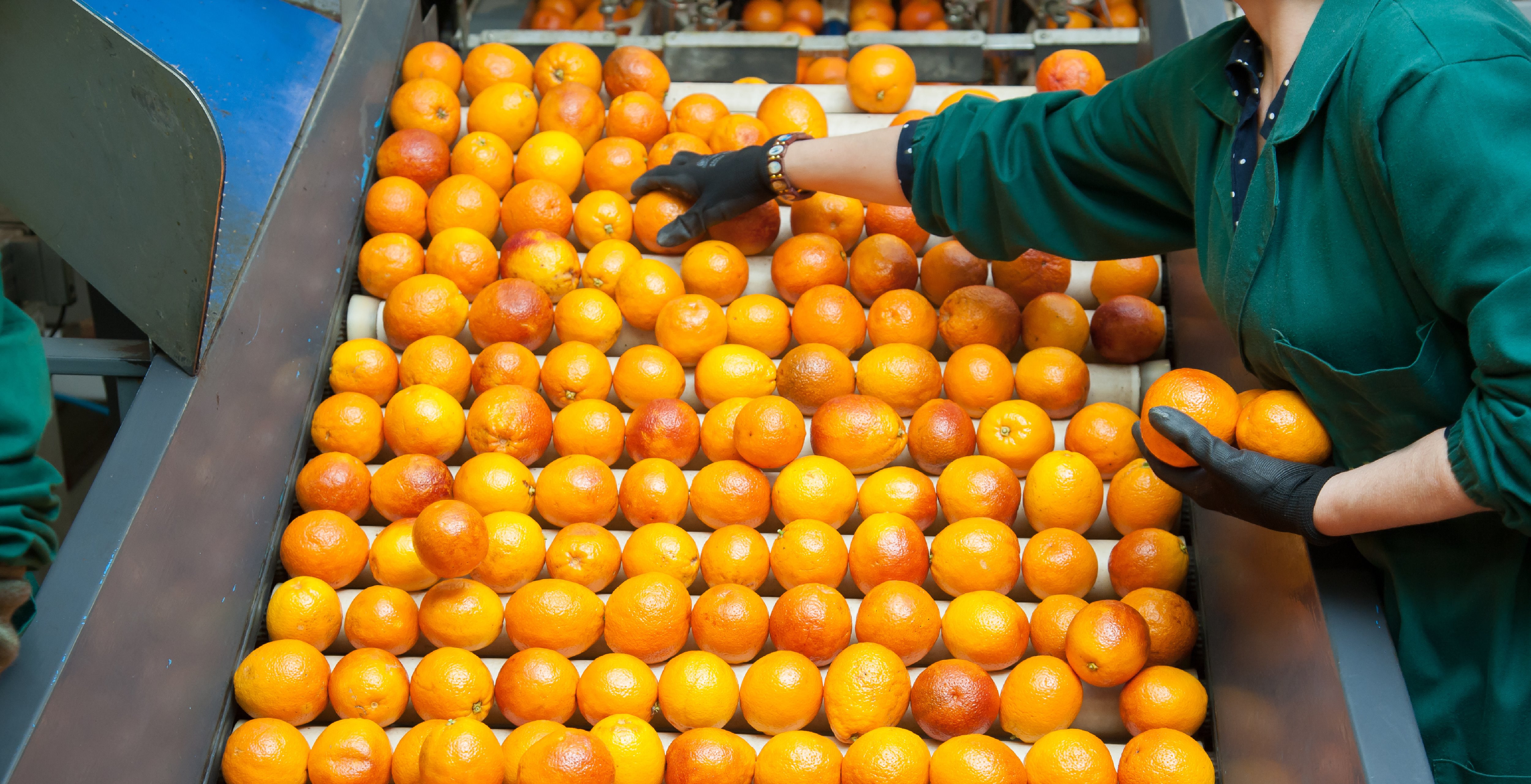 How the better use of data can help fresh produce businesses grow