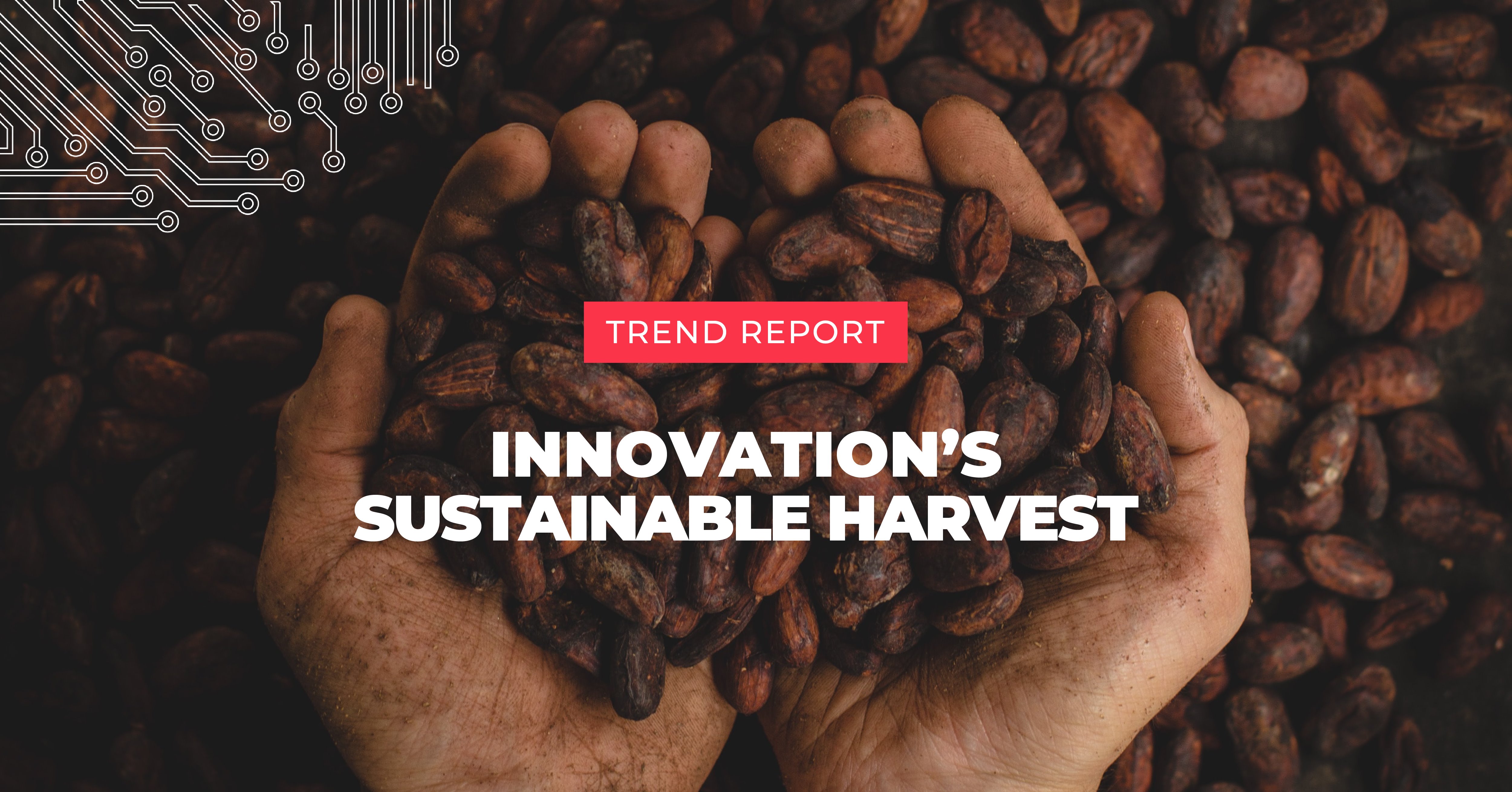 Innovation's Sustainable Harvest