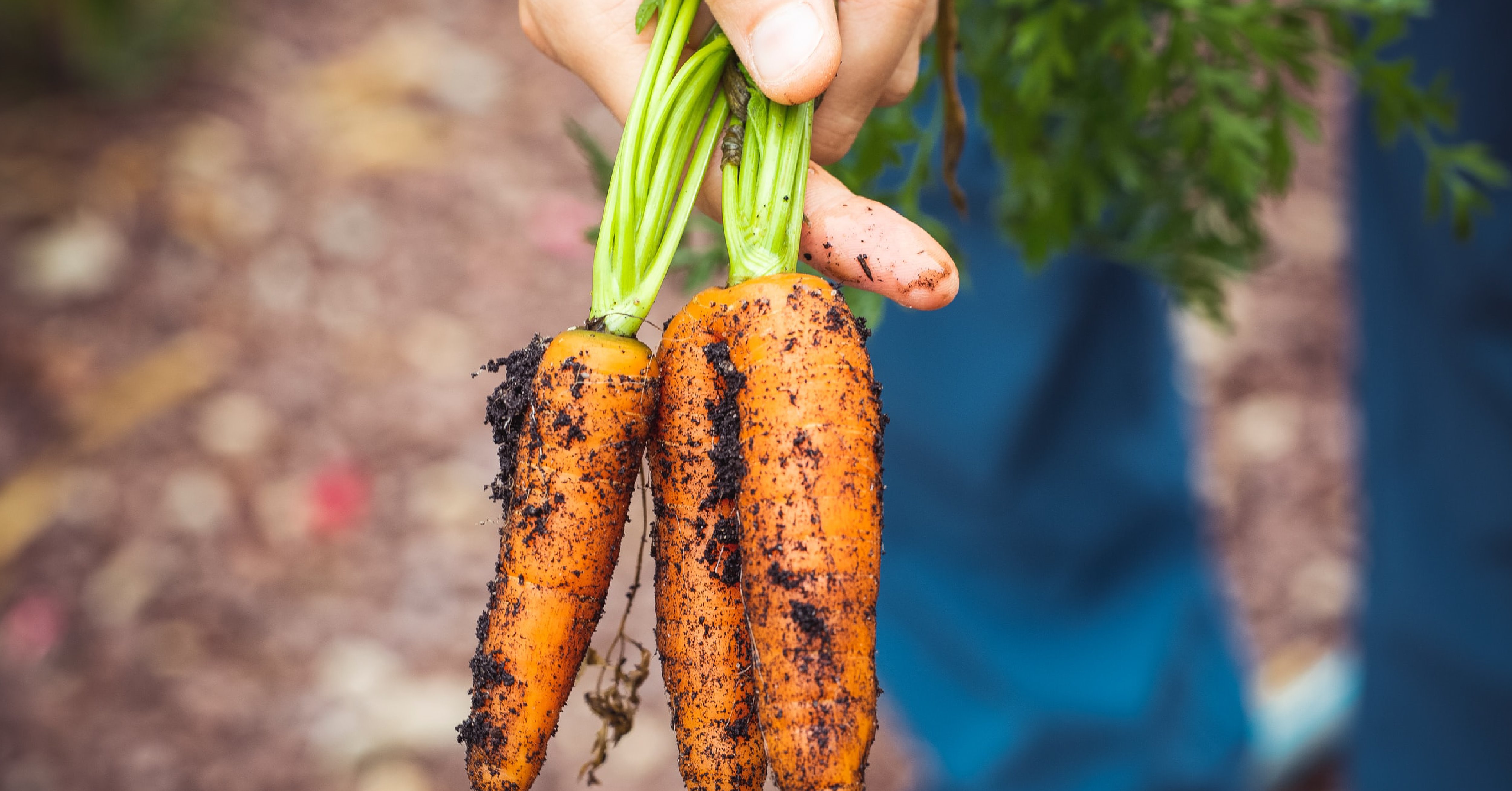 Innovatie, what? Een welbekend fenomeen in de voedselindustrie