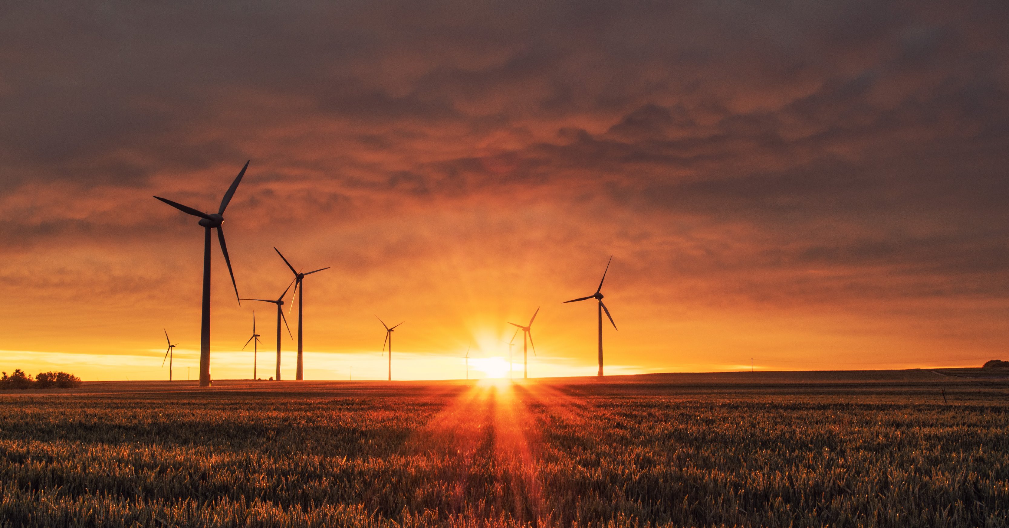 Hoe ERP de AGF-industrie kan ondersteunen tijdens de klimaatcrisis