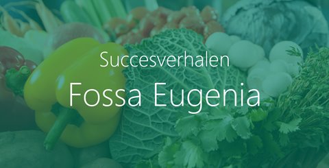 Fossa Eugenia | Een IT-landschap dat staat als een huis 