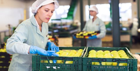 Is Sub-Quality Produce Your Best Profit Opportunity?