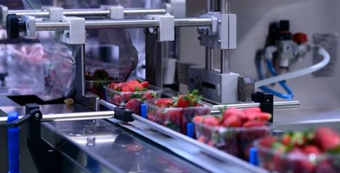 Tackling the Ongoing Challenge of Fresh Produce Packaging